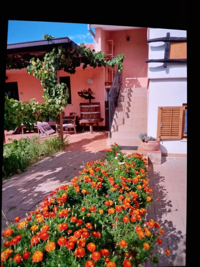 Apartments Garden Monsena 로비니 외부 사진